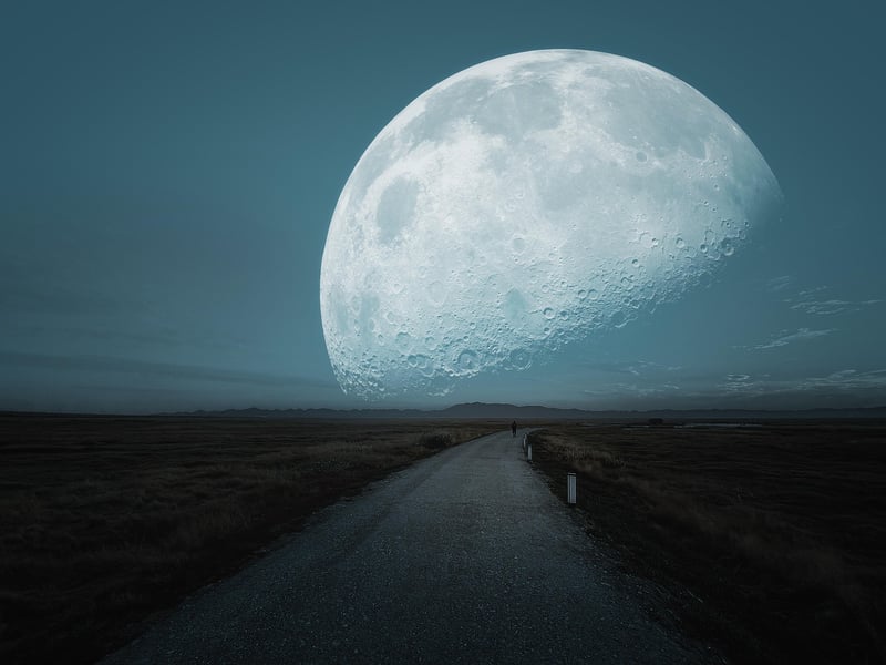 Time Traveler's Journey